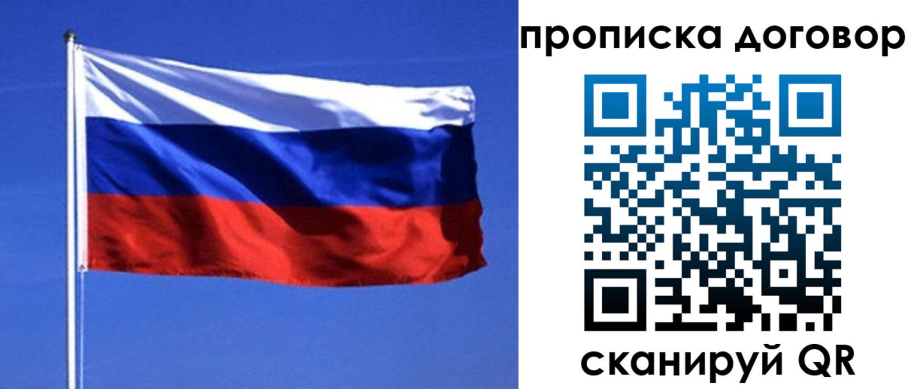 прописка поиск в Коле