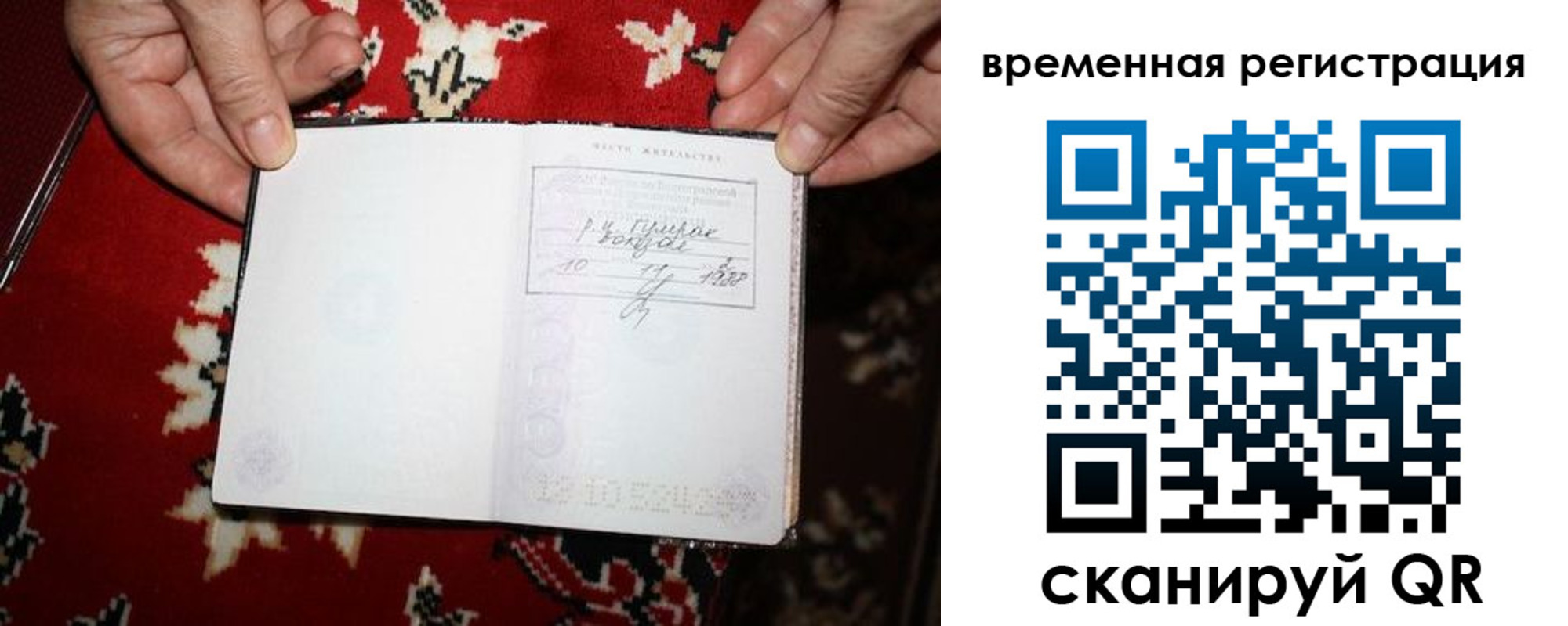 временная прописка в Коле